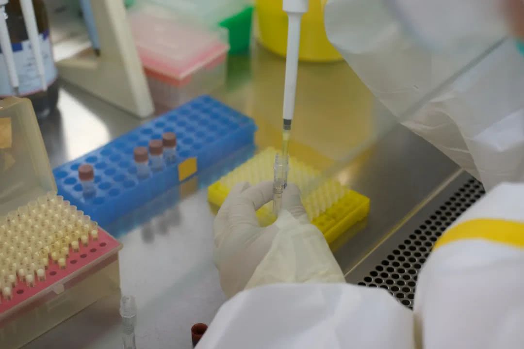 核酸檢測又降價！多地增設24小時檢測服務機構